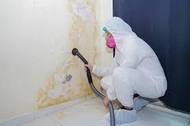 Trusted Meridianville, AL Mold Inspection Experts